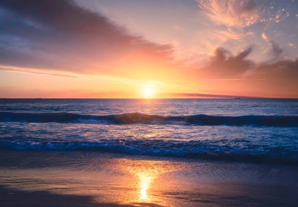istock Tranquil scene of a beautiful beach with a breathtaking orange sunset. 1496815183