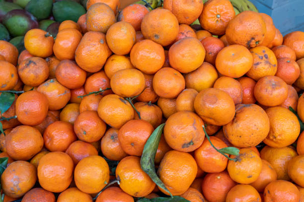 istock Pile of tangerines 1496816392