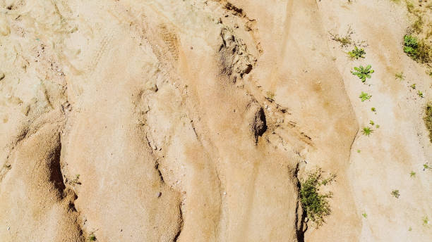 istock Erosion across the Southern California 1496823081