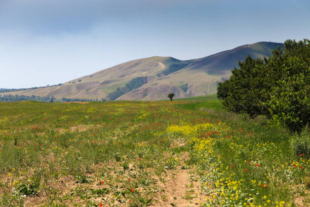istock Blooming fields against the backdrop of mountains. Beautiful mountain landscape. Blooming summer herbs. Spring landscape. Kyrgyzstan. 1496825439