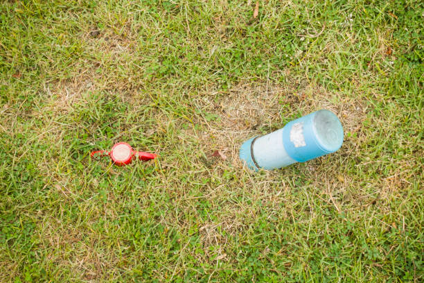 istock A red valve and external water pipe in green grass 1496828437