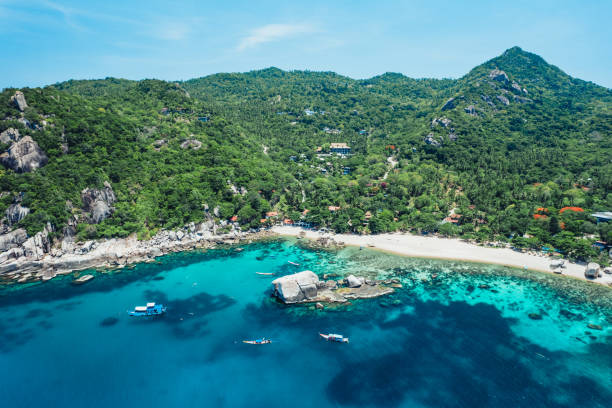 istock Beach and sea at Koh Tao, Thailand 1496829457