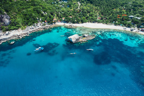 istock Beach and sea at Koh Tao, Thailand 1496829518