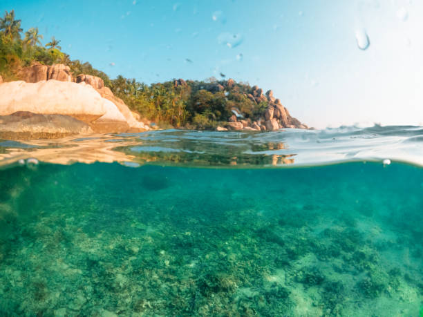 istock Under the sea and bay at Koh Tao 1496832415