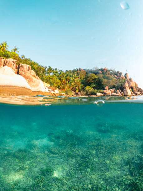 istock Under the sea and bay at Koh Tao 1496832668