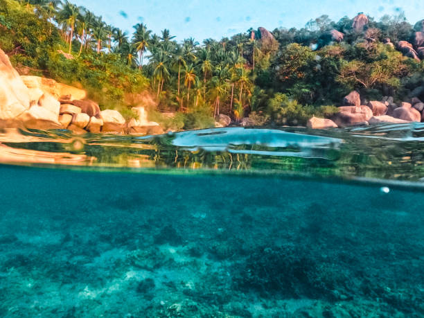 istock Under the sea and bay at Koh Tao 1496834871