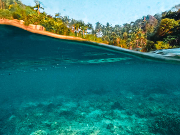 istock Under the sea and bay at Koh Tao 1496834912
