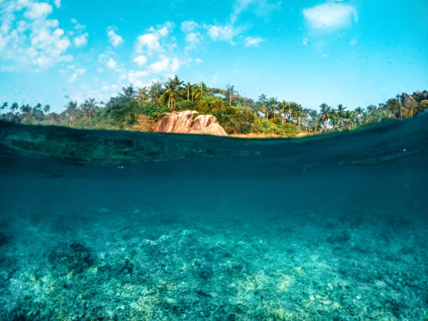 istock Under the sea and bay at Koh Tao 1496836376