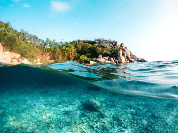 istock Under the sea and bay at Koh Tao 1496836397