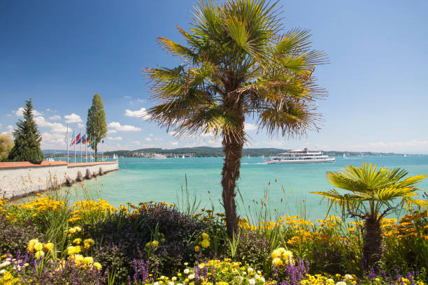 Palm tree and colorful flowers on Mainau island on Lake Constance (Bodensee), a mediterranean background concept with lots of copy space.