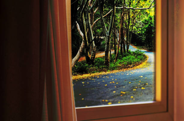 istock Amazing view from inside house seeing beautiful road view. 1496847630