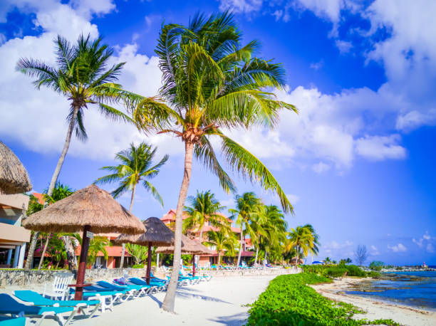 Puerto Aventuras, Mexico. Small resort town located in the Riviera Maya Puerto Aventuras, Mexico - April 2019. Small resort town located in the Riviera Maya, known for its beautiful beaches and marina, Cancun. puerto aventuras stock pictures, royalty-free photos & images