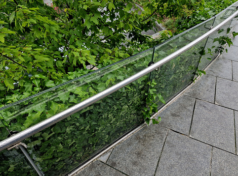 railing of a luxury house consisting of glass panels fastened with gray metal stainless steel paneling. the milky frosted glass barrier gives an airy impression. polished metal cover, hand, man, hedera helix