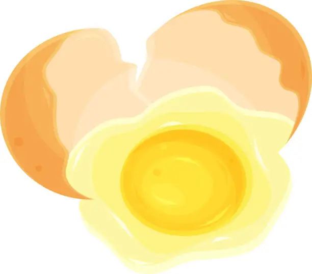 Vector illustration of color vector illustration of a broken egg, proper nutrition, fried eggs, chicken egg, eggshell