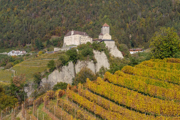 Tirolo, Italy - October 29, 2022: View of Tyrol Castle 11th-13th century, surrounded by vineyards, Trentino-Alto Adige, Italy