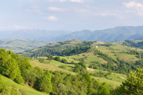 istock Mountain meadows on ridges in sunny windy weather in Carpathians 1496858687