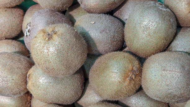 istock Group of kiwi for sale 1496859018