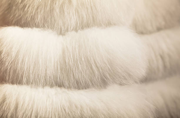 istock Thick white fur coat with longitudinal seams, close-up. 1496859275