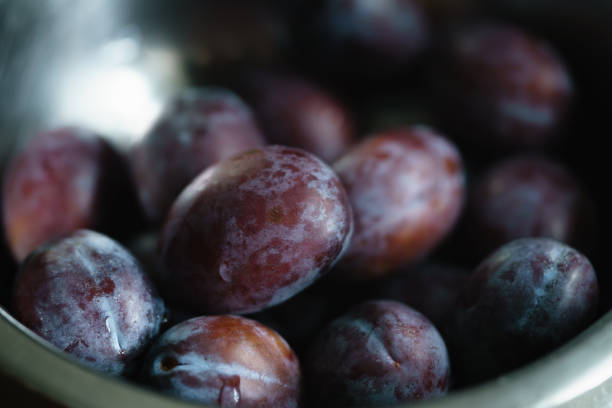 Prune background
