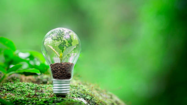 istock A tree and a green world map are placed on a light bulb representing green energy. Sustainable renewable energy concept in environmental protection Renewable energy needed for earth's natural green background 1496863886
