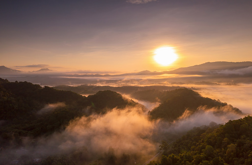 Beautiful morning scene sunrise and fog above the mountains, light hitting the clouds, treetops, beautiful scenery, beautiful nature golden morning light misty sea in the valley, misty sea