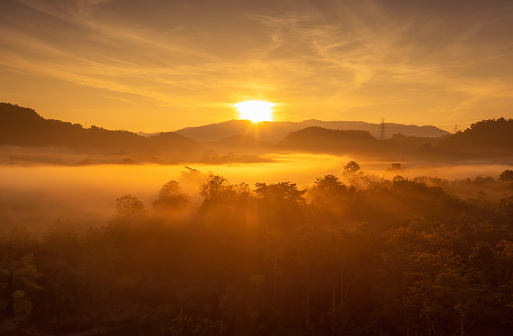 Beautiful morning scene sunrise and fog above the mountains, light hitting the clouds, treetops, beautiful scenery, beautiful nature golden morning light misty sea in the valley, misty sea.