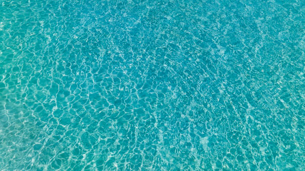 istock Tropical beach water  with crystal clear water on beach background 1496869820