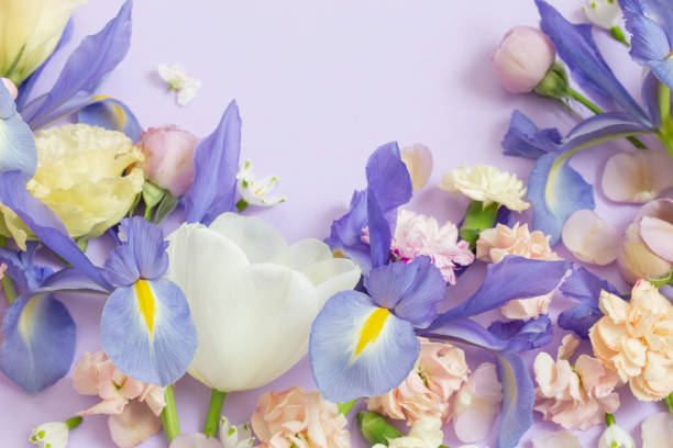 istock beautiful spring flowers on paper background 1496870002