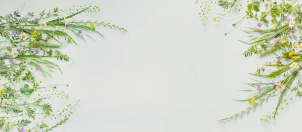 istock wild grass and flowers on green paper background 1496870014