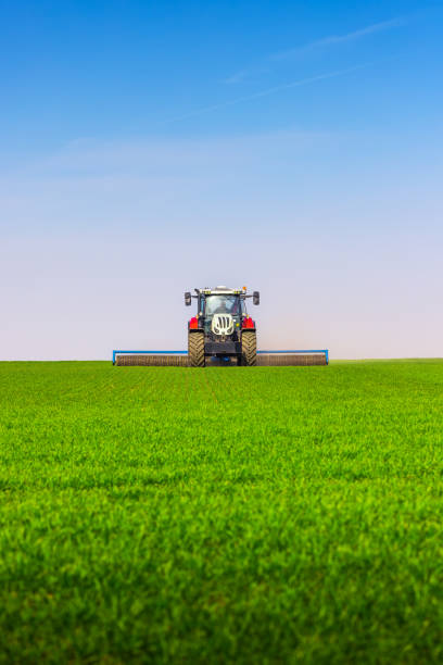 istock Tractor with a roller tillage on spring field. Soil rolling supports germination and is the basis for good harvesting, organic farming and agronomy 1496873565