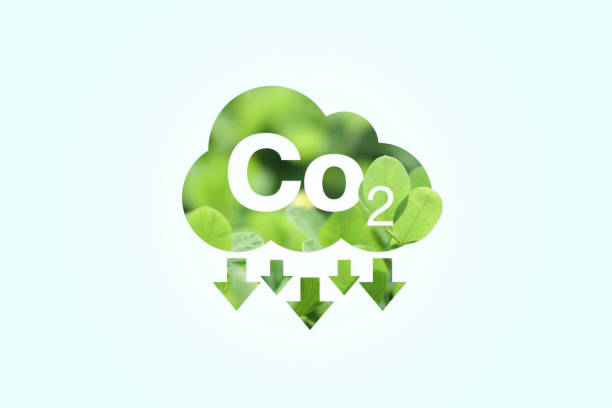 istock Net zero and carbon credit Icon with tree or forest shape, isolated on white background. Sustainable development concept, energy, ecological on green energy, environmental, social and governance. 1496873975