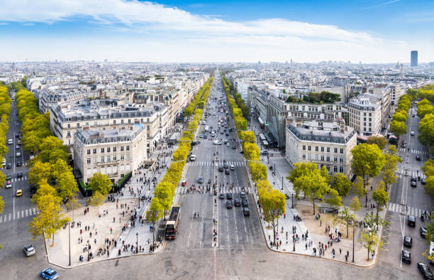 istock Panorama view from Triumphal Arch, Paris, France 1496873978