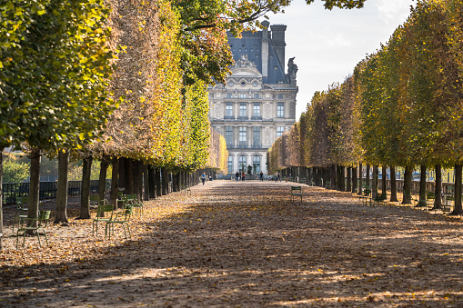 Autumn in Paris in the park near Louvre Museum