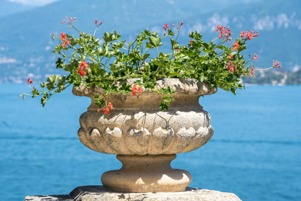 istock Scenic view of Lake Como, Italy 1496875592