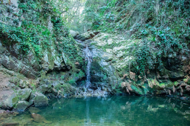 istock Small waterfall in the forest in the mountains. Beni Metir, Jendouba, Tunisia 1496875721