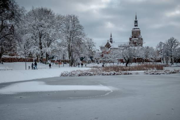 istock Wintery landscape surrounded by snow-covered trees and a vast open field 1496876037