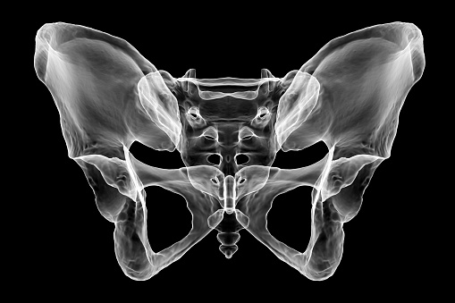 Anatomy of the pelvis bones, including the ilium, ischium, sacrum, and pubis, photorealistic 3D illustration. Perfect for educational or medical purposes. Front view