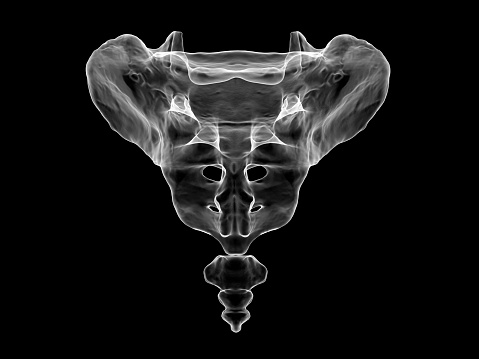 Digital medical illustration: Posterior (back) perspective 45 degree rotation (Posterior oblique 45) x-ray view of human pelvis. Featuring:
