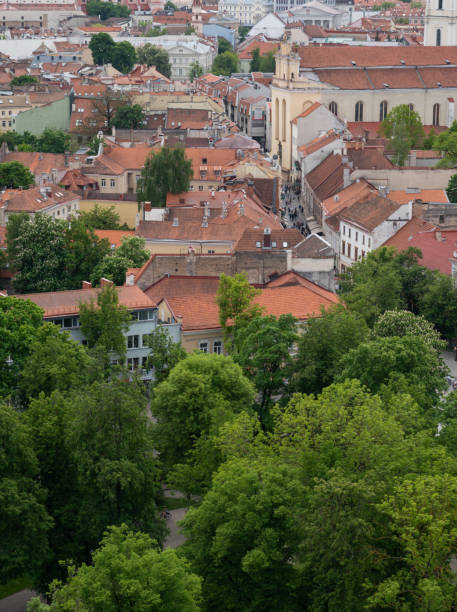 istock Vilnius city in late spring. View from city hill castle 1496881069