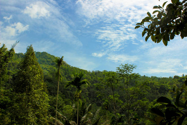 istock Tranquil forest landscape with hills, trees, and blue sky 1496881310