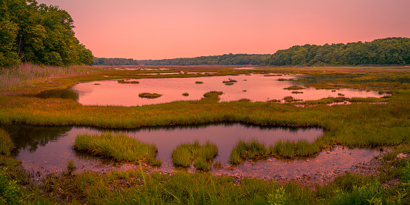 Sunrise in marshland with pink sky, water reflections, and wildfire smoke in Mystic, Connecticut, curving geometry of the marsh plants and horizon
