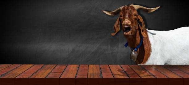 istock Empty Wooden Table and a Horned Goat - Blank Blackboard on Background 1496886145