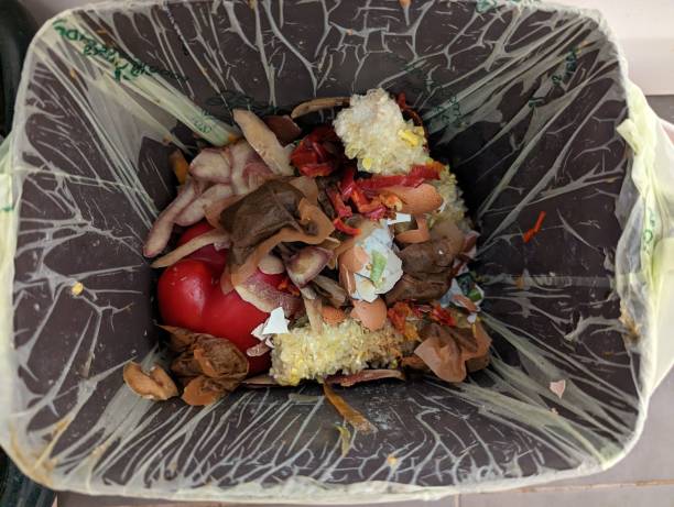 istock Domestic compost garbage bin with food waste in a restaurant 1496887775