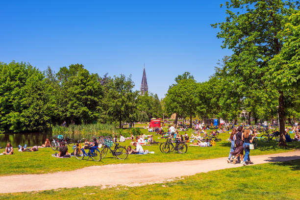 Amsterdam, Netherlands - June 3, 2023: People relaxing and sunbathing in the Vondelpark in Amsterdam, Netherlands on sunny saturday afternoon in June. The park is very popular among locals and tourists and opened in 1865.