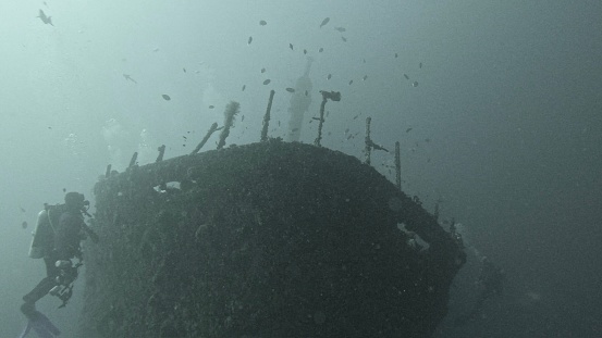 Under a free diving in the bay of La Ciotat in the south of France