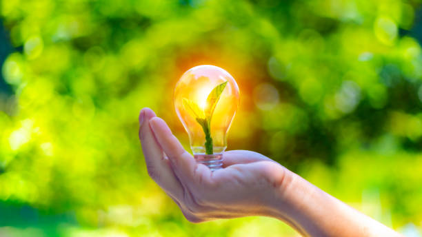 istock concept eco earth day. green tree growing in a light bulb On the background blurred image of green leaves and there is a golden light in the morning. energy saving and environmental protection. 1496891805
