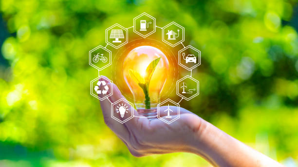 istock concept eco earth day. green tree growing in a light bulb On the background blurred image of green leaves and there is a golden light in the morning. energy saving and environmental protection. 1496892959