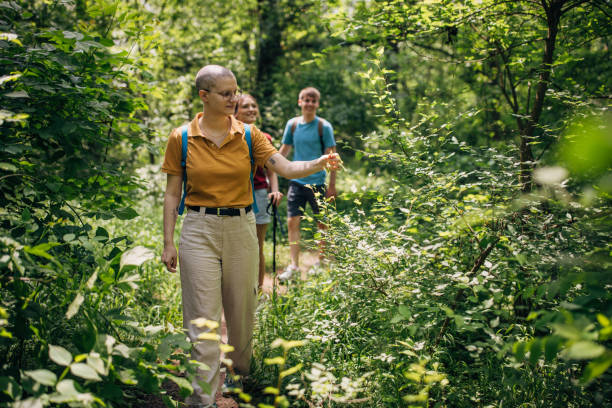 istock Three friends hiking in the forest and enjoying nature 1496896434