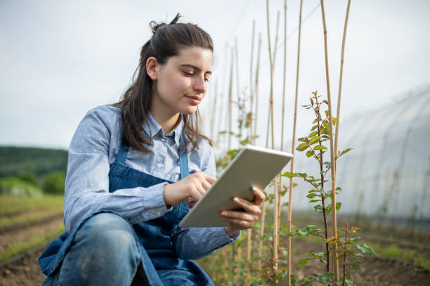 istock Woman uing digital tanlet to check little rose plants growth. 1496897663