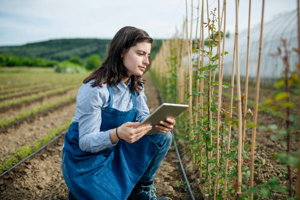 istock Woman uing digital tanlet to check little rose plants growth. 1496897664